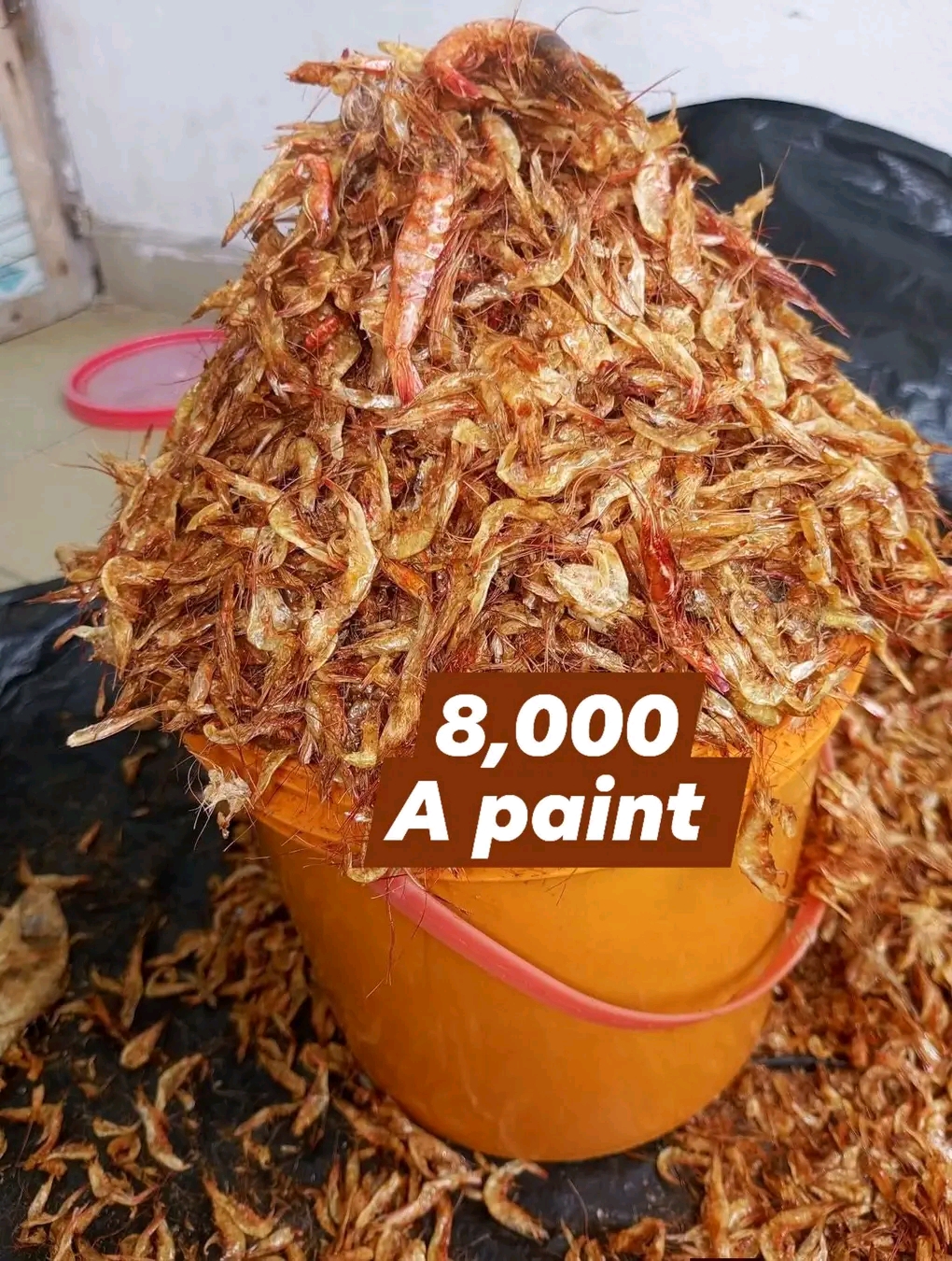 Dry Crayfish for Sale